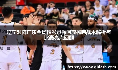 辽宁对阵广东全场精彩录像回放杨鸣战术解析与比赛亮点回顾
